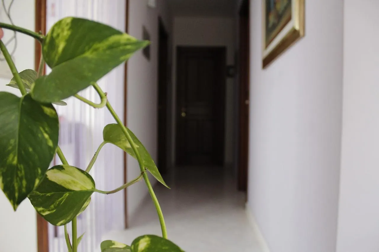 Le Terrazze Di Don Mariano Hotel Cinisi Guest house